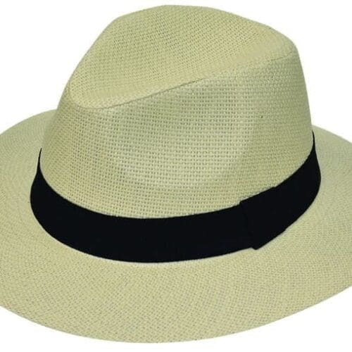 Ψάθινη Fedora Stamion 1