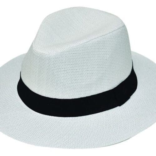 Ψάθινη Fedora Stamion 2