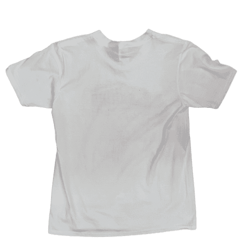 Tshirt Parthenon 1